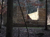 Petinesca